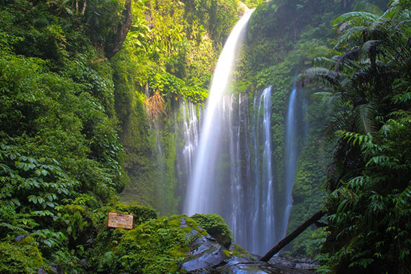 Air Terjun Sendang Gile & Tiu Kelep Tour